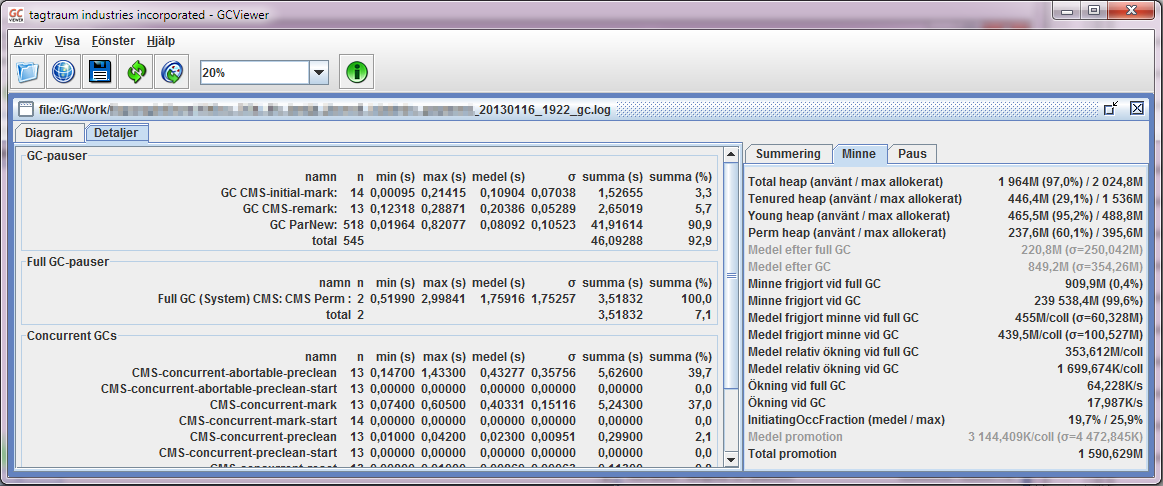 GCViewer_Minne
